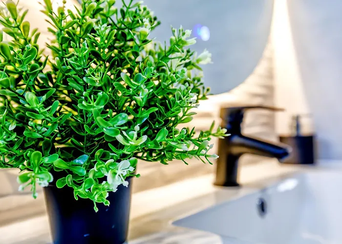 Koko Junto Al Casco Historico 公寓 科爾多瓦