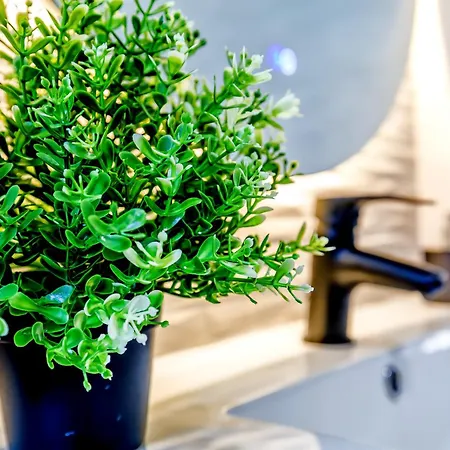 Koko Junto Al Casco Historico 公寓 科爾多瓦